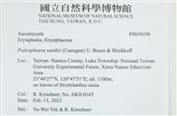 登錄號:F0038958藏品圖，第2張