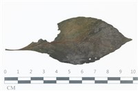 登錄號:F0038958藏品圖，第1張