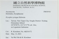 登錄號:F0038961藏品圖，第2張