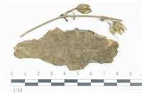 登錄號:F0038962藏品圖，第1張