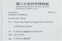 登錄號:F0038965藏品圖，第2張
