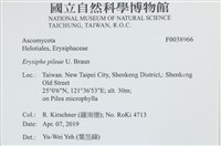 登錄號:F0038966藏品圖，第2張