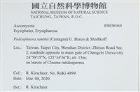 登錄號:F0038969藏品圖，第2張