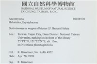 登錄號:F0038970藏品圖，第2張