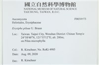 登錄號:F0038973藏品圖，第2張