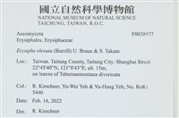 登錄號:F0038977藏品圖，第2張