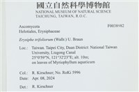 登錄號:F0038982藏品圖，第2張