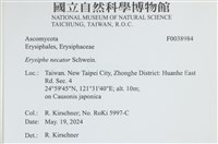 登錄號:F0038984藏品圖，第2張
