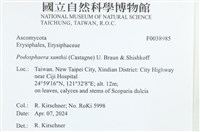 登錄號:F0038985藏品圖，第2張