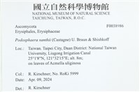 登錄號:F0038986藏品圖，第2張