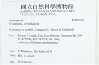 登錄號:F0038989藏品圖，第2張