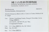 登錄號:F0038991藏品圖，第2張