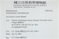 登錄號:F0038992藏品圖，第2張