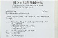 登錄號:F0038997藏品圖，第2張