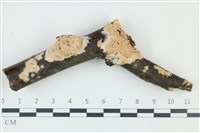 登錄號:F0038997藏品圖，第1張