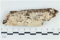 登錄號:F0039022藏品圖，第1張