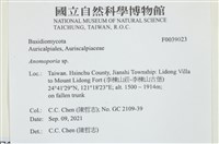 登錄號:F0039023藏品圖，第2張