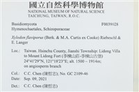 登錄號:F0039028藏品圖，第2張