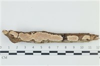 登錄號:F0039028藏品圖，第1張