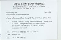 登錄號:F0039029藏品圖，第2張