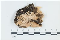 登錄號:F0039034藏品圖，第1張