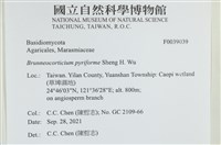 登錄號:F0039039藏品圖，第2張