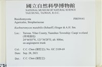 登錄號:F0039041藏品圖，第1張