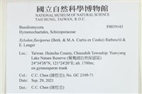 登錄號:F0039043藏品圖，第2張