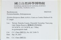登錄號:F0039045藏品圖，第2張