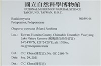 登錄號:F0039046藏品圖，第2張