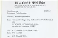 登錄號:F0039051藏品圖，第2張