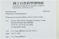 登錄號:F0039059藏品圖，第2張