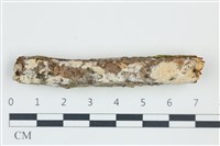登錄號:F0039064藏品圖，第1張