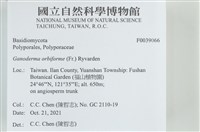 登錄號:F0039066藏品圖，第2張