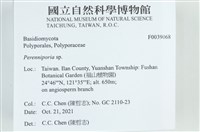 多年臥孔菌屬藏品圖，第2張