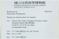 登錄號:F0039069藏品圖，第2張