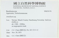 登錄號:F0039076藏品圖，第2張
