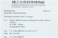登錄號:F0039077藏品圖，第2張