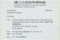 登錄號:F0039088藏品圖，第2張