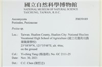 登錄號:F0039089藏品圖，第2張
