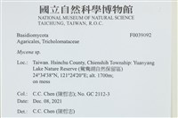 小菇屬藏品圖，第2張