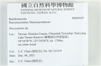 登錄號:F0039097藏品圖，第2張