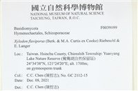 登錄號:F0039099藏品圖，第2張