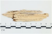 登錄號:F0039099藏品圖，第1張