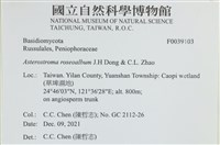 登錄號:F0039103藏品圖，第2張