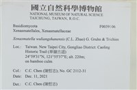 登錄號:F0039106藏品圖，第2張