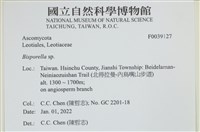登錄號:F0039127藏品圖，第2張