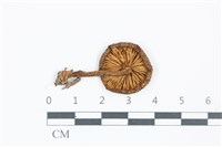登錄號:F0039133藏品圖，第3張