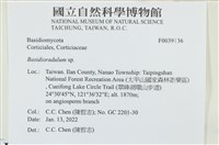 登錄號:F0039136藏品圖，第2張