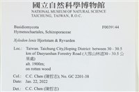 登錄號:F0039144藏品圖，第2張